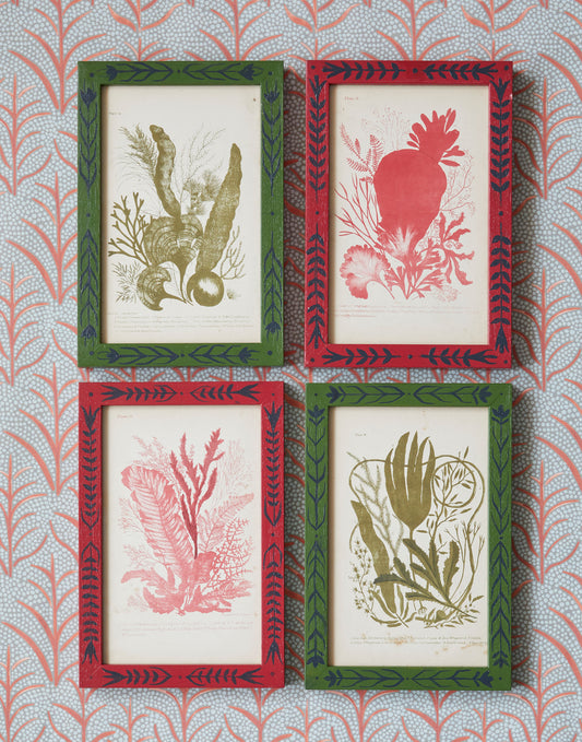 A Set of Four Nineteenth Century Hand-coloured Engravings of Seaweeds