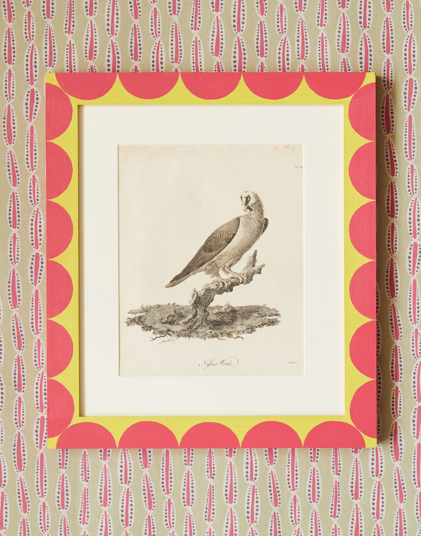 A Set of Six Copperplate Engravings of Birds Dated 1789 by James Heath ARA (1757-1834) After Drawings by James Bruce of Kinnaird (1730-1794)