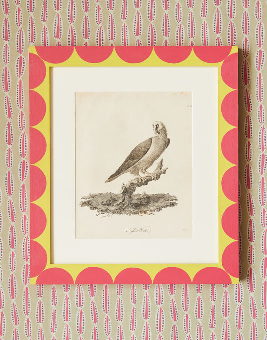 A Set of Six Copperplate Engravings of Birds Dated 1789 by James Heath ARA (1757-1834) After Drawings by James Bruce of Kinnaird (1730-1794)