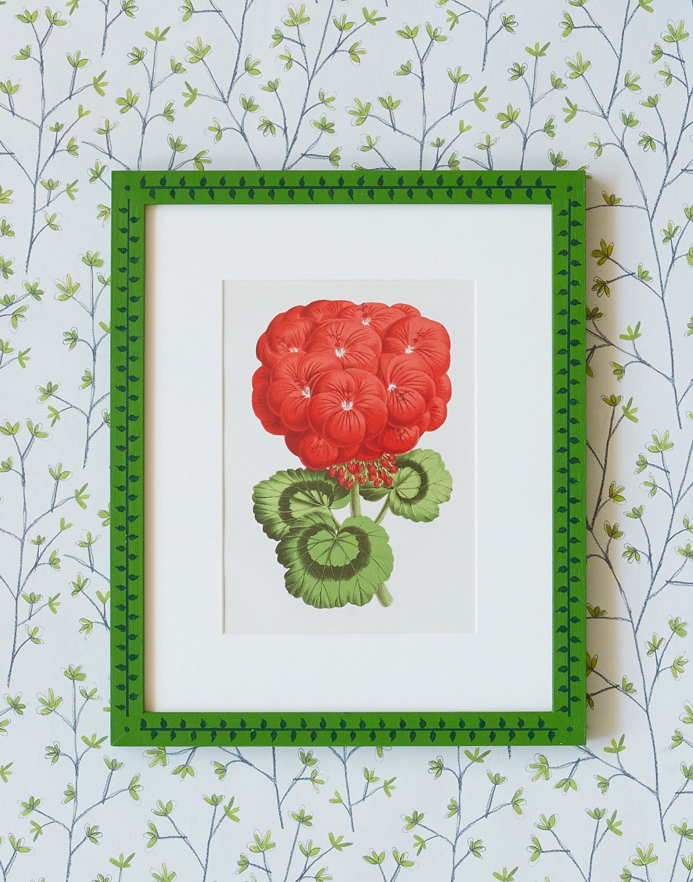 A Set of Six Colour 19th Century Chromolithographs of Garden Flowers