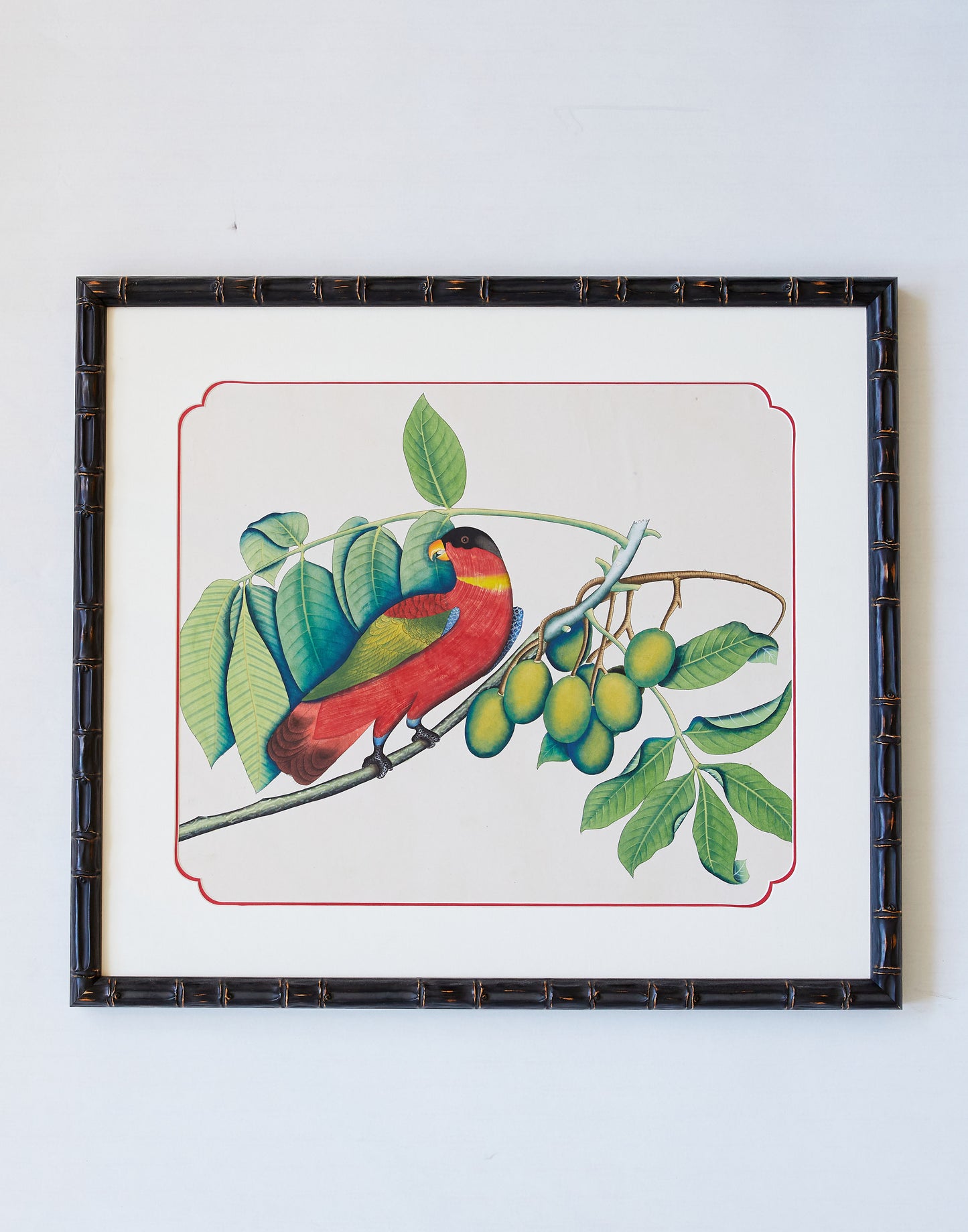 A Pair of Late 19th Century Company School Watercolours of Exotic Birds