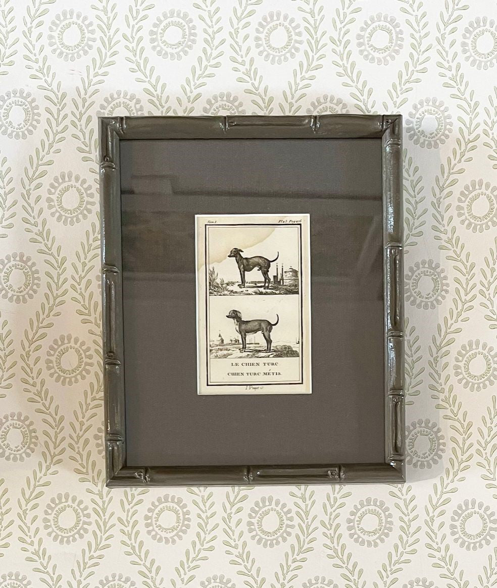 A set of Ten 18th Century French Engravings of Dogs by Georges-Louis Leclerc, Comte de Buffon