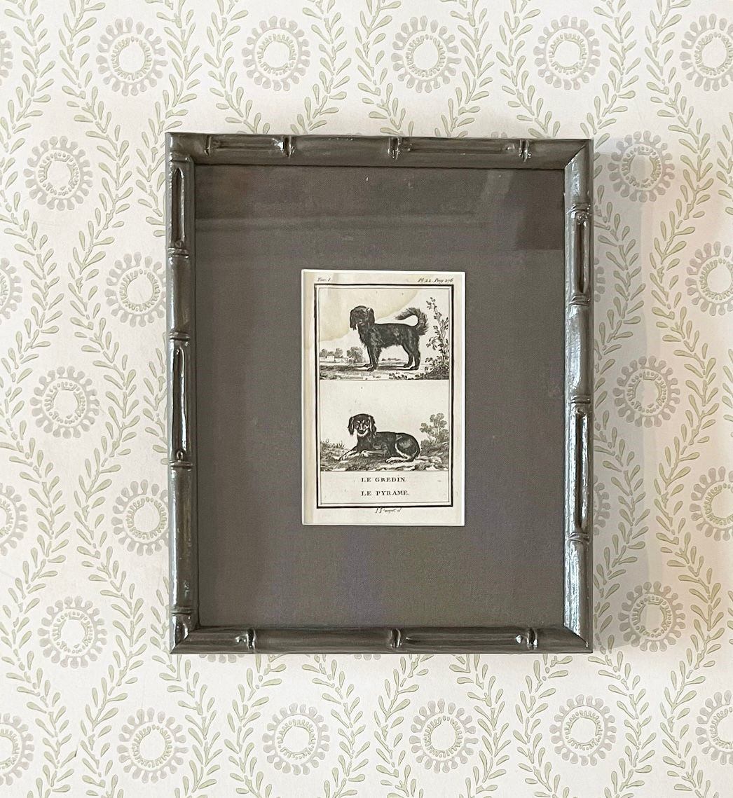 A set of Ten 18th Century French Engravings of Dogs by Georges-Louis Leclerc, Comte de Buffon