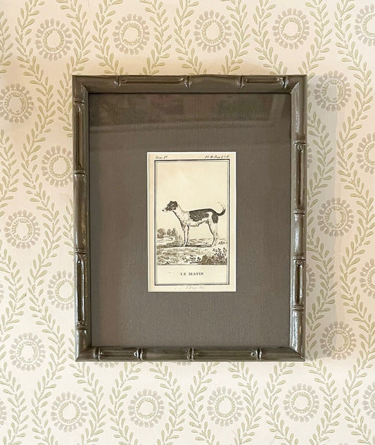 A set of Ten 18th Century French Engravings of Dogs by Georges-Louis Leclerc, Comte de Buffon