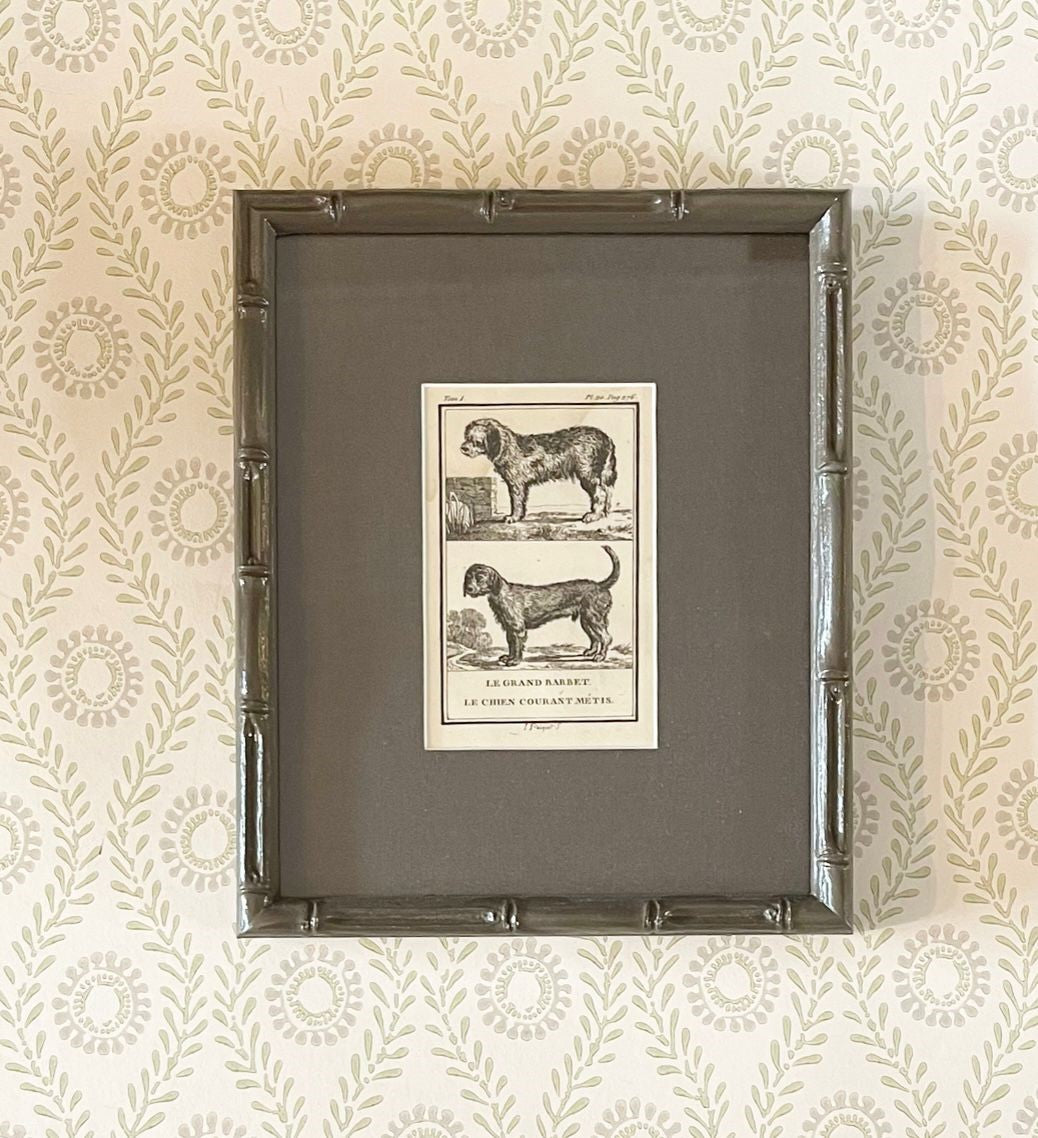A set of Ten 18th Century French Engravings of Dogs by Georges-Louis Leclerc, Comte de Buffon