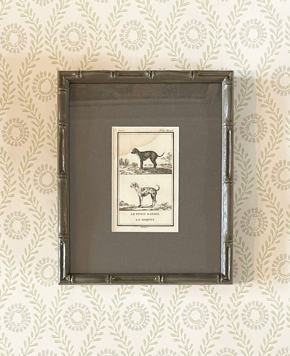 A set of Ten 18th Century French Engravings of Dogs by Georges-Louis Leclerc, Comte de Buffon