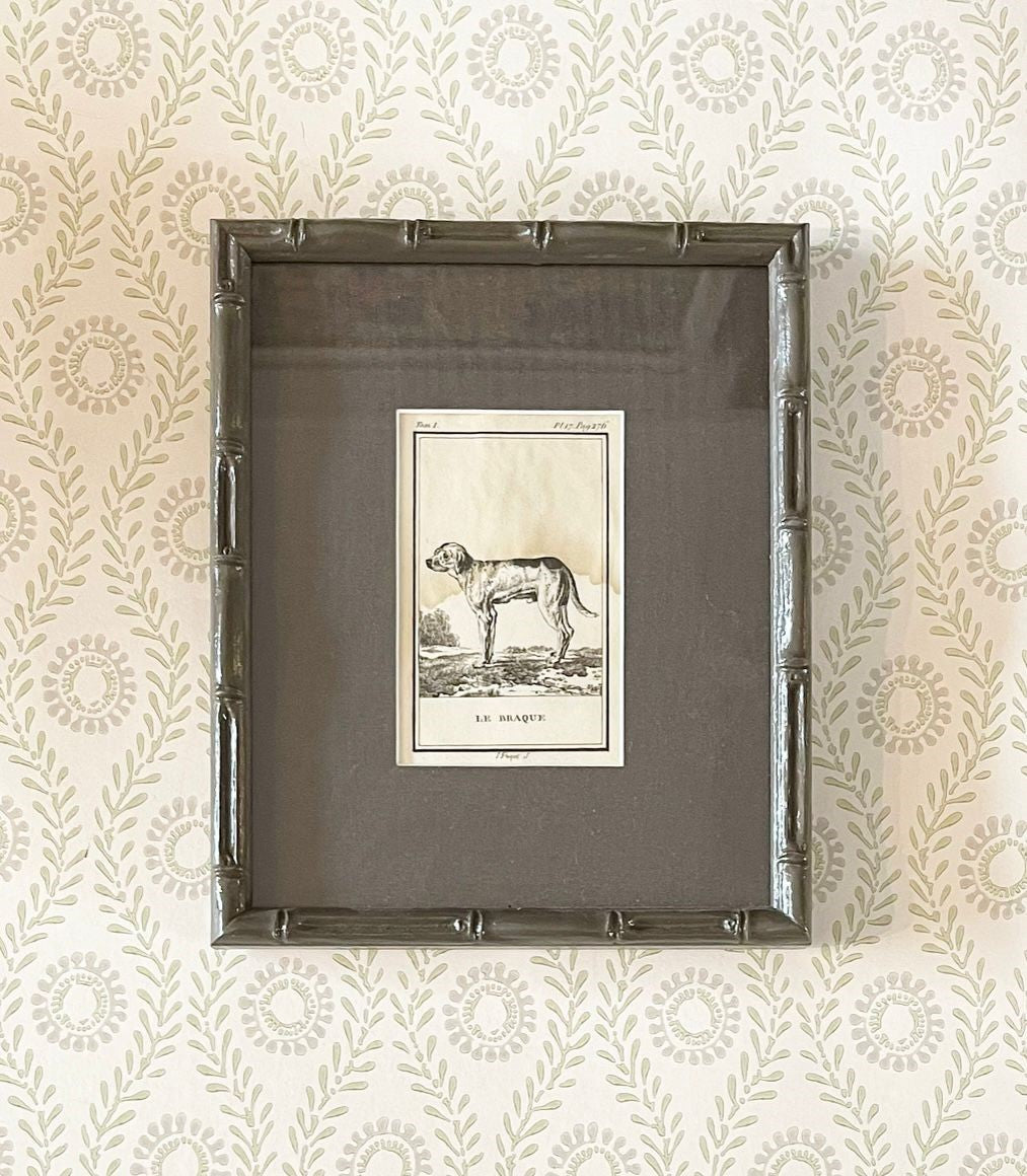A set of Ten 18th Century French Engravings of Dogs by Georges-Louis Leclerc, Comte de Buffon
