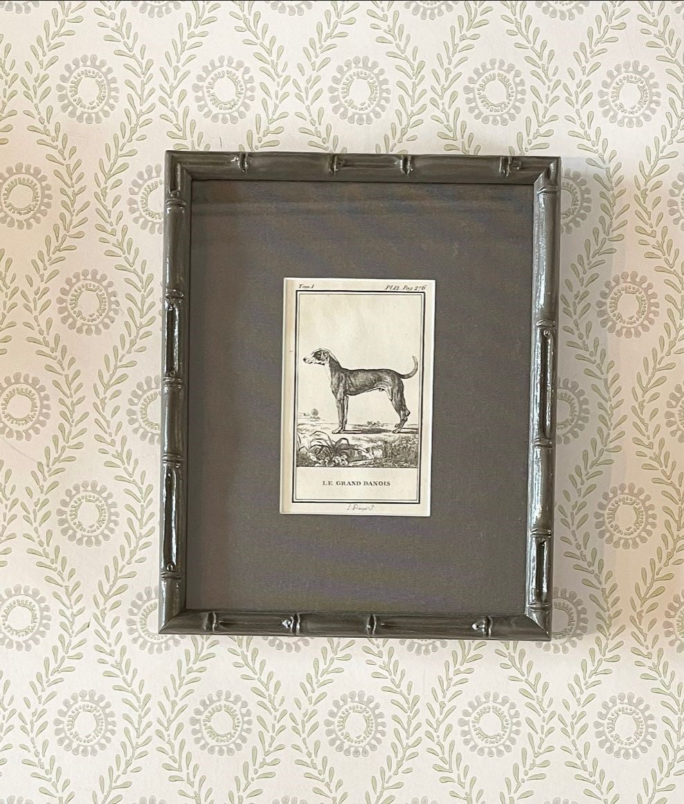A set of Ten 18th Century French Engravings of Dogs by Georges-Louis Leclerc, Comte de Buffon