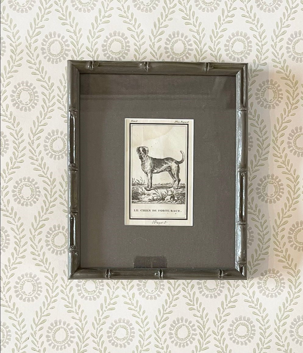 A set of Ten 18th Century French Engravings of Dogs by Georges-Louis Leclerc, Comte de Buffon