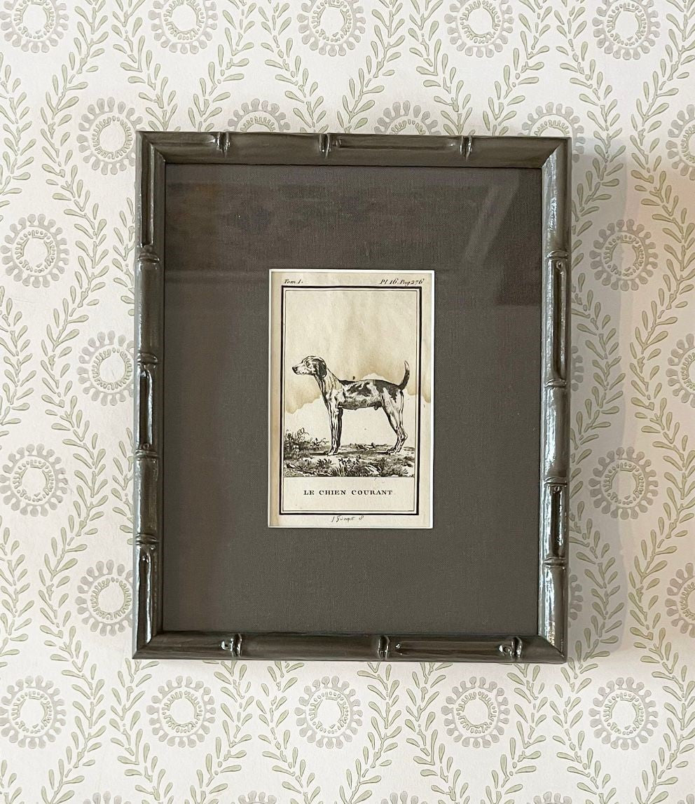 A set of Ten 18th Century French Engravings of Dogs by Georges-Louis Leclerc, Comte de Buffon