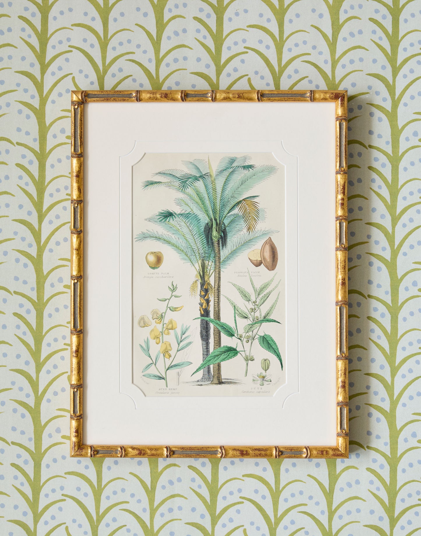 A Set of Four 19th Century Hand-Colour Copper Engravings of Fruitful Palms and Fruits and Nuts