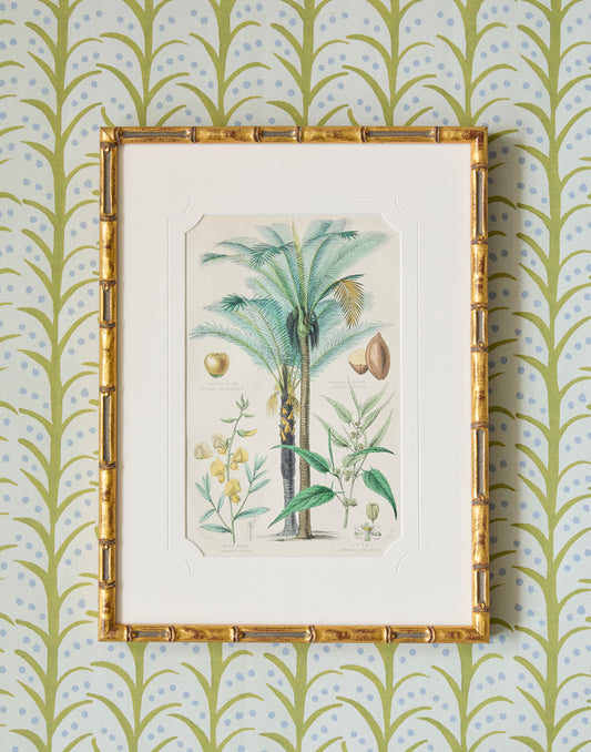 A Set of Four 19th Century Hand-Colour Copper Engravings of Fruitful Palms and Fruits and Nuts