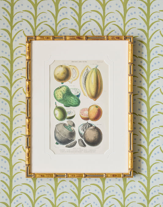 A Set of Four 19th Century Hand-Colour Copper Engravings of Fruitful Palms and Fruits and Nuts