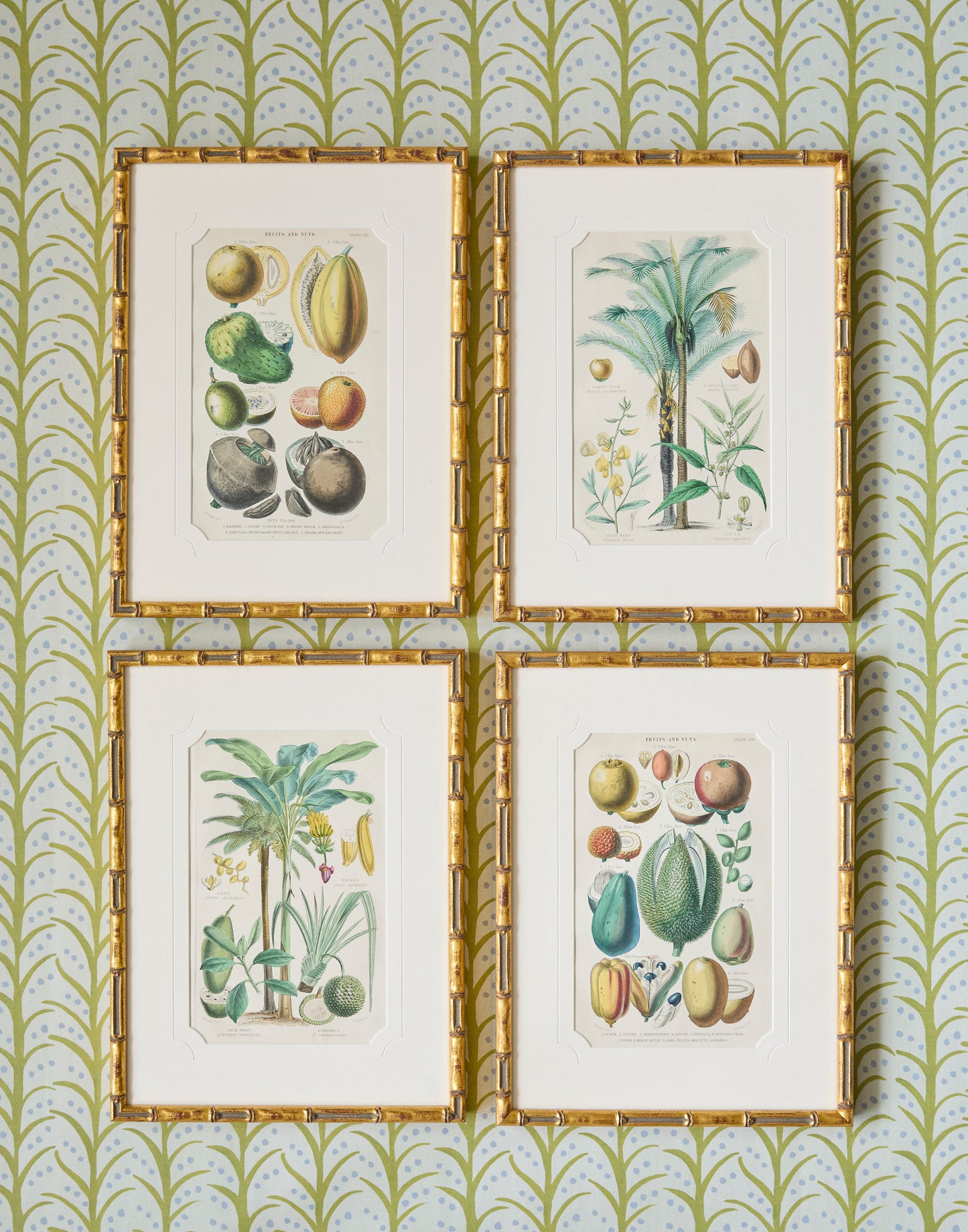 A Set of Four 19th Century Hand-Colour Copper Engravings of Fruitful Palms and Fruits and Nuts