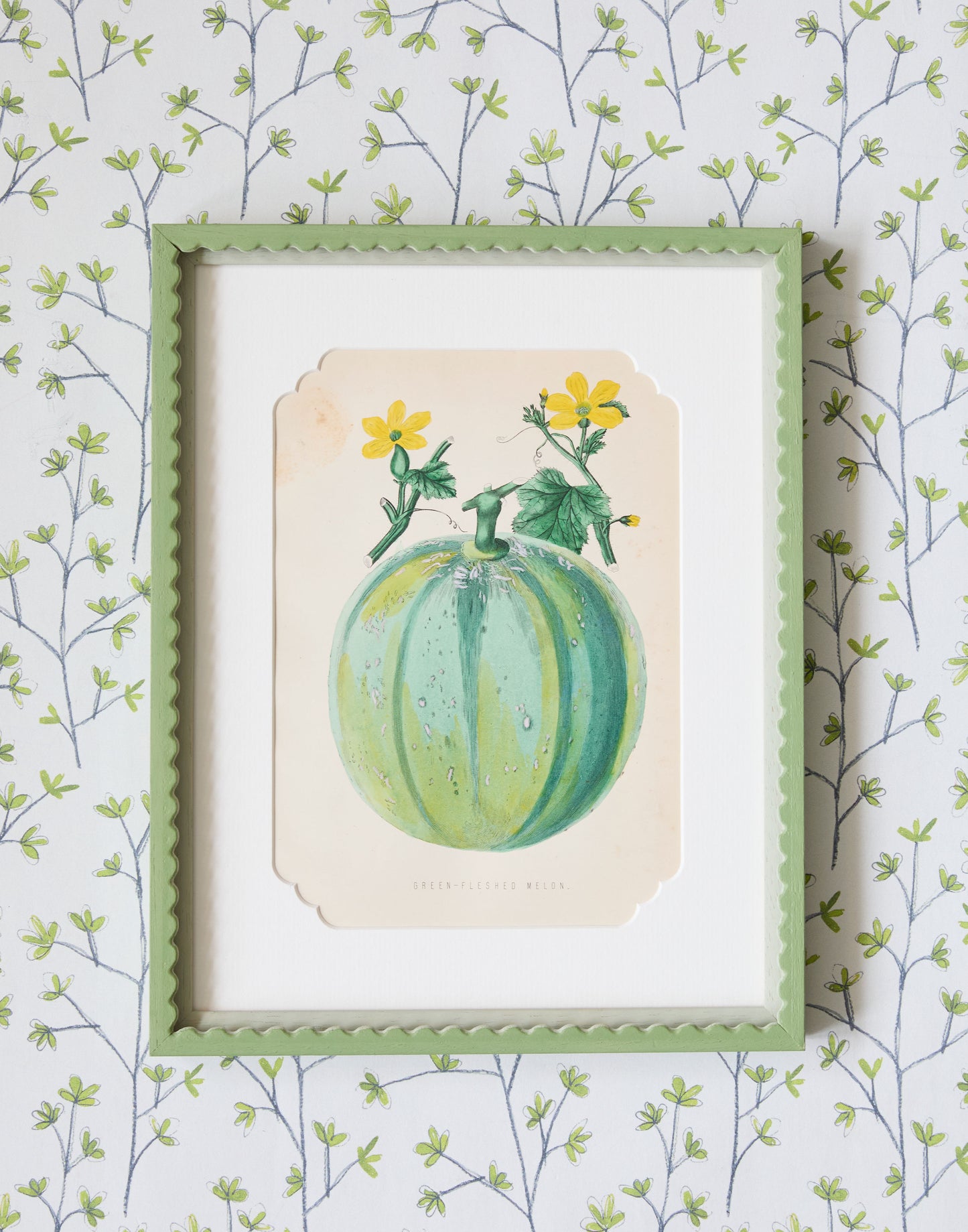 A Set of Six 19th Century Hand-Coloured Chromolographs of Fruit