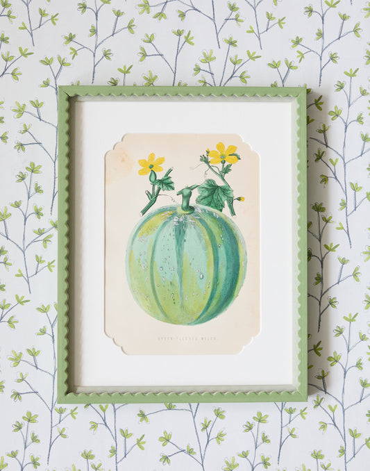 A Pair of 19th Century Hand-Coloured Chromolographs of Fruit