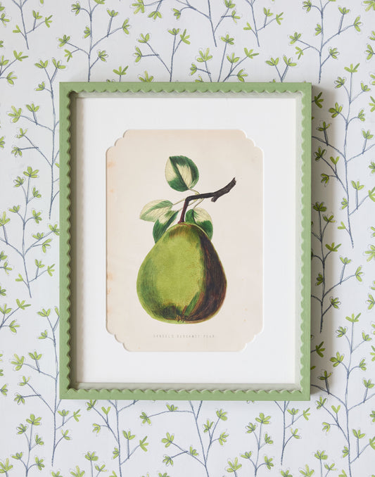 A Pair of 19th Century Hand-Coloured Chromolographs of Fruit