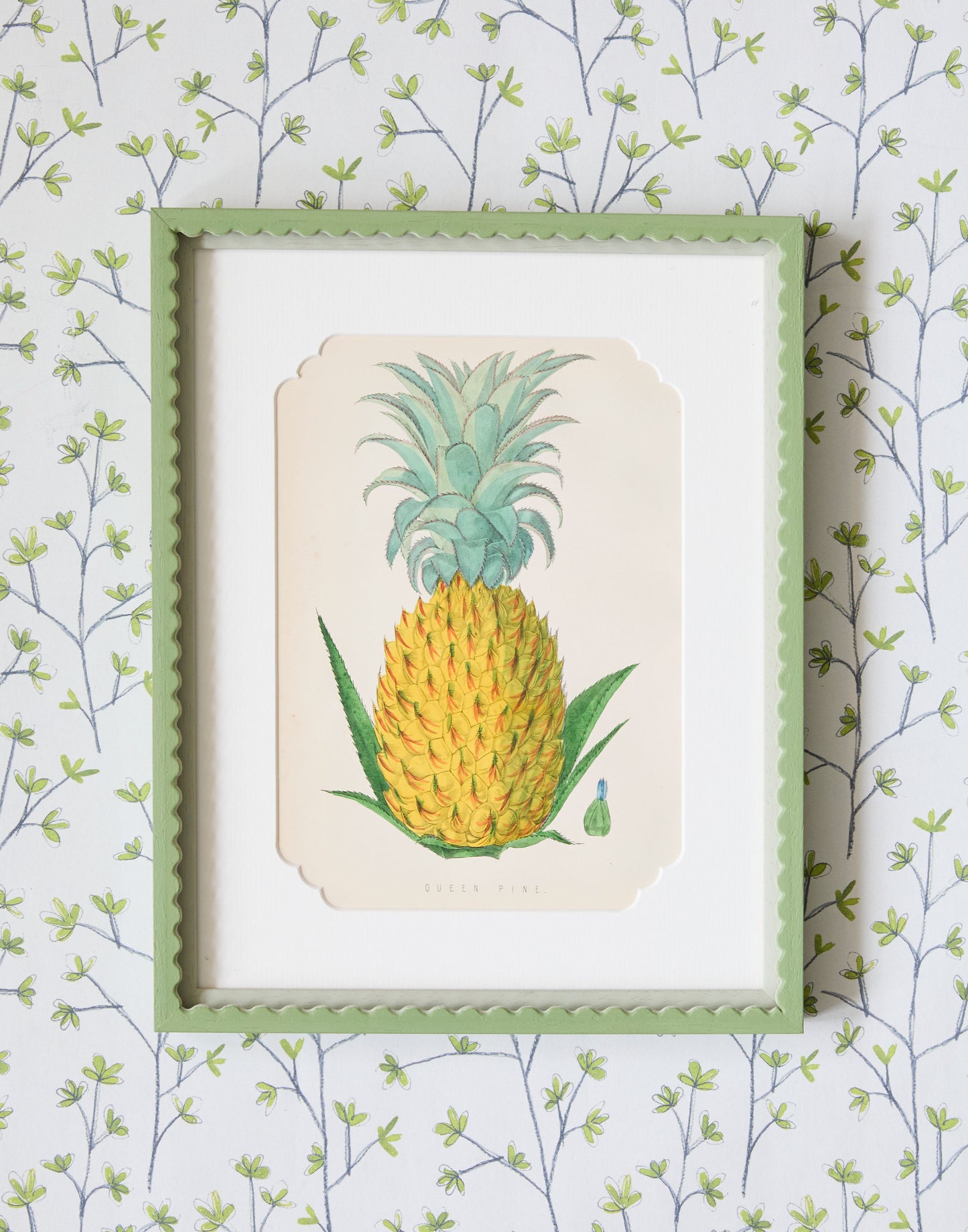 A Set of Six 19th Century Hand-Coloured Chromolographs of Fruit