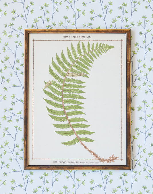 A Set of Three Chromolithograph Fern Prints from Francis George Heath's Fern Portfolio circa 1885