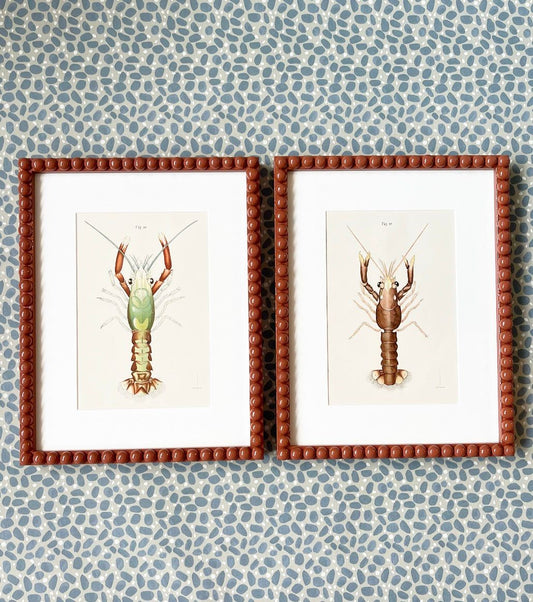 A Pair of Chromolithograph Prints from The American Lobster: A Study of its Habits and Development by Francis Hobart Herrick (1858-1940)