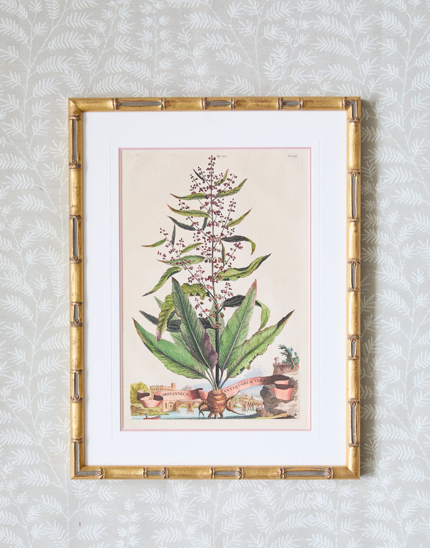 A Set of Eight Antique Hand-coloured Folio Copper Plate Prints by Abraham Munting (1626 - 1683)