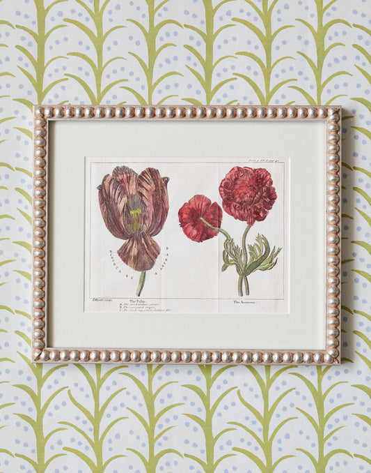 A Set of Ten 18th Century Hand-coloured Copper Engravings of Trees and Plants by James Mynde