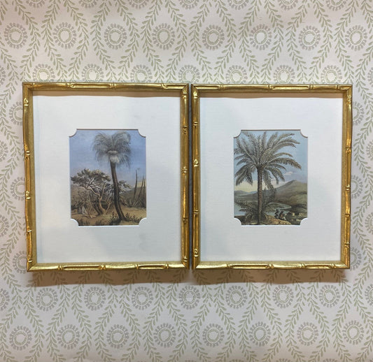 A Pair of Antique Colour Printed Lithographs of Trees and Palms by Maria E Catlow and Charles Daubeny