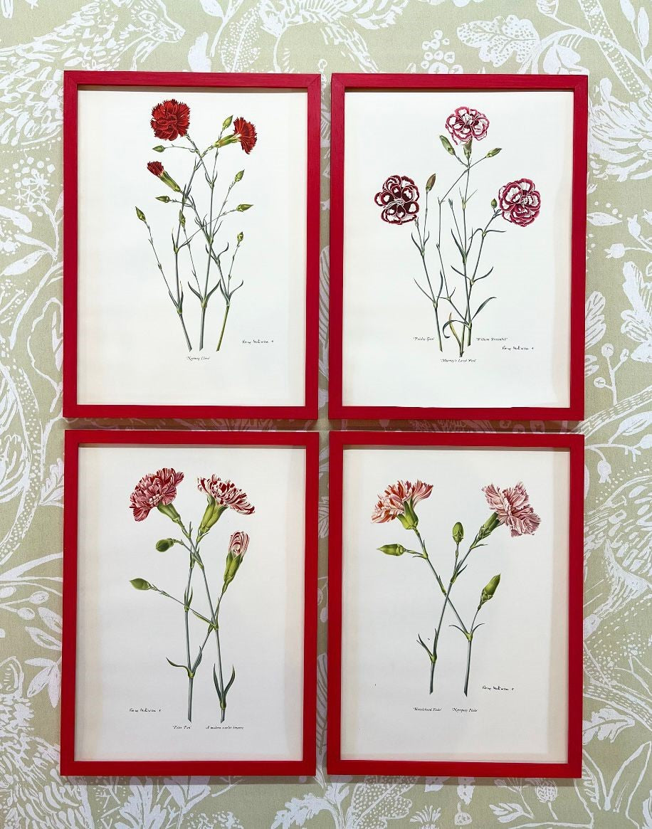 A Set of Eight Prints of Carnations and Pinks by Rory McEwen (1932-1982)