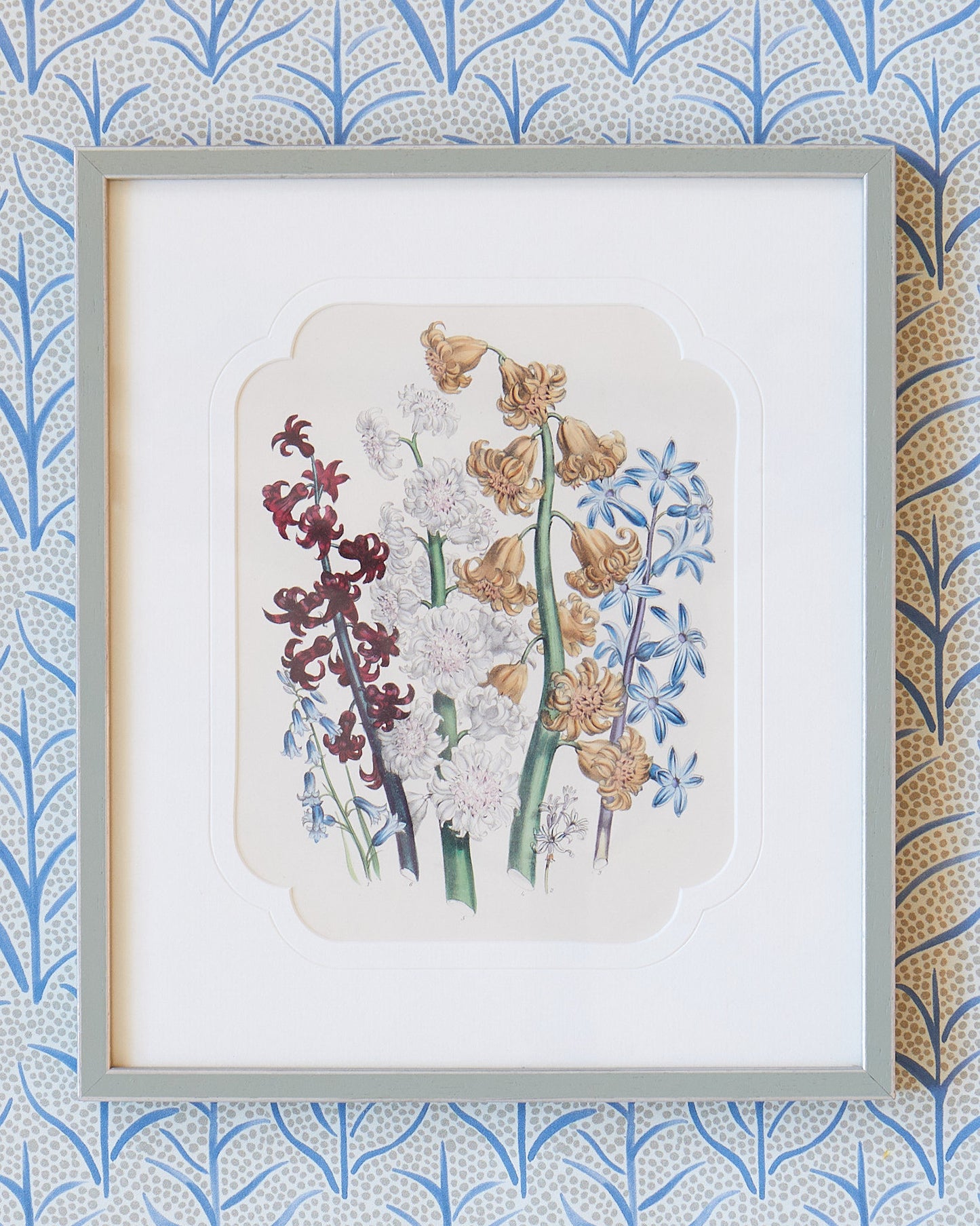 A Set of Antique Botanical Engravings by Mrs Jane Wells Webb Loudon
