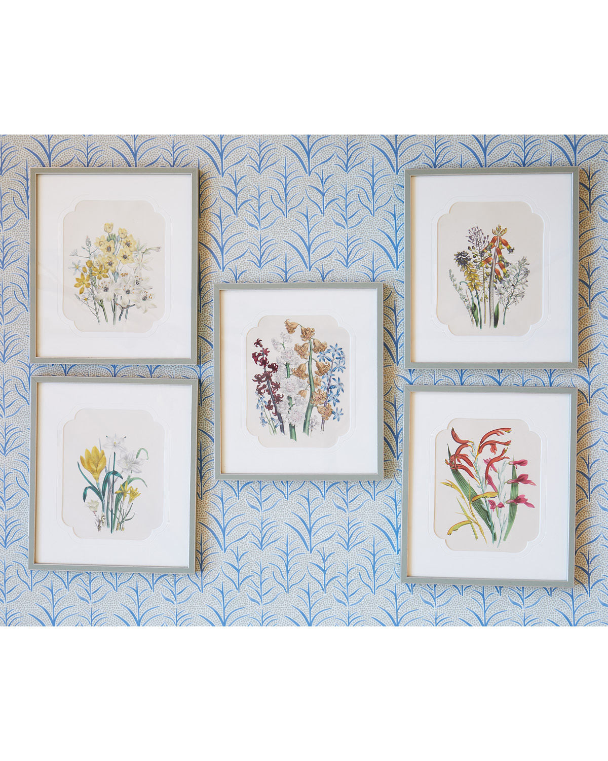 A Set of Antique Botanical Engravings by Mrs Jane Wells Webb Loudon