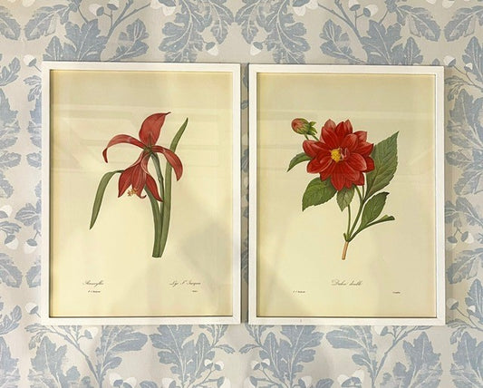 A Set of Six Framed Redouté Lithographs