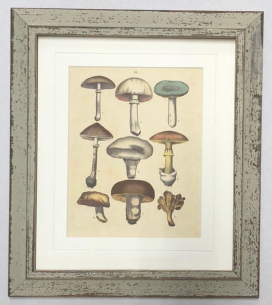 Set of Six Vegetable Giclee Prints