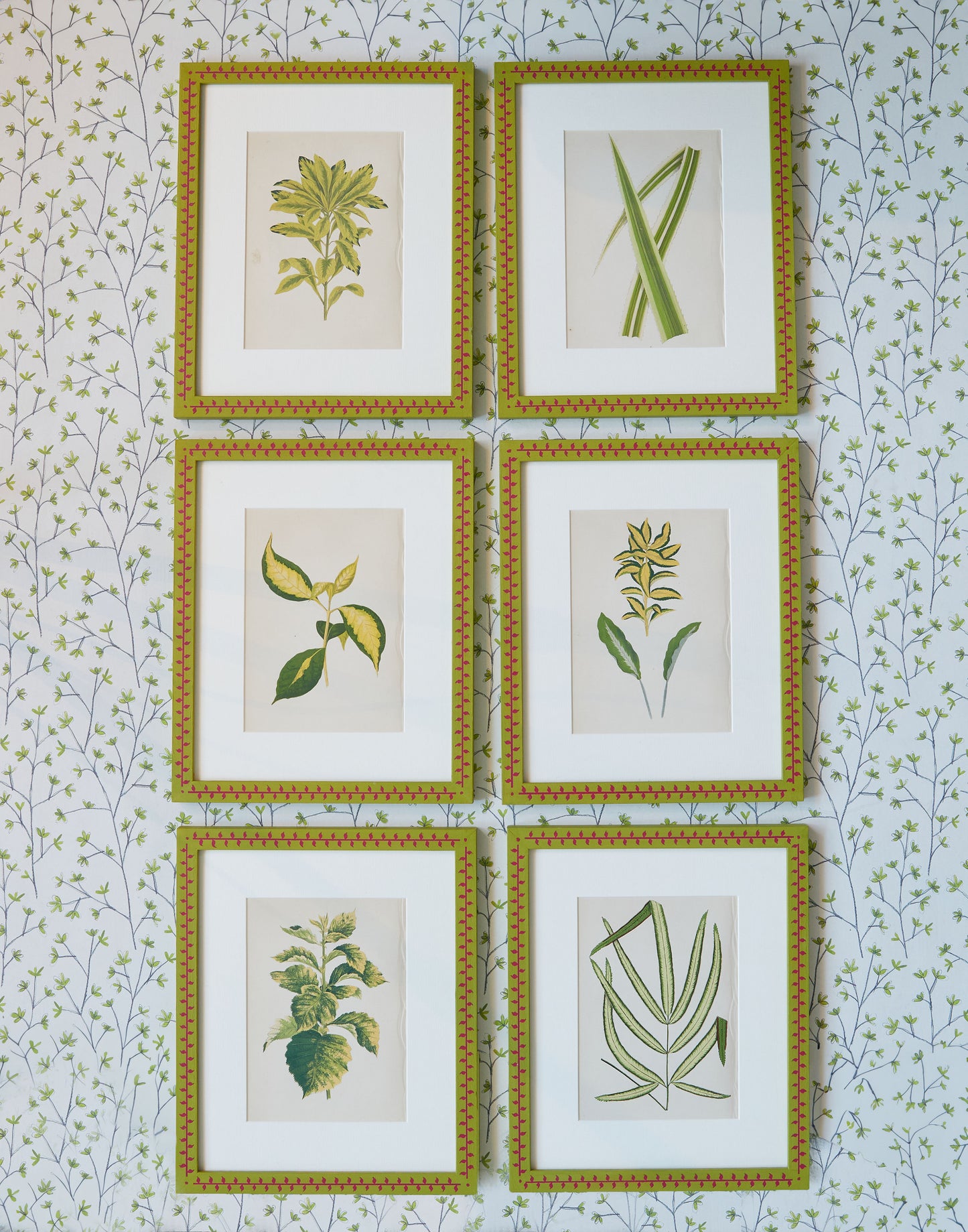 Set of Six Framed Botanical Prints circa 1860 from "Beautiful Leaved Plants" by Edward Joseph Lowe (1825-1900)