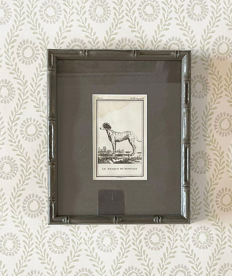 A set of Ten 18th Century French Engravings of Dogs by Georges-Louis Leclerc, Comte de Buffon