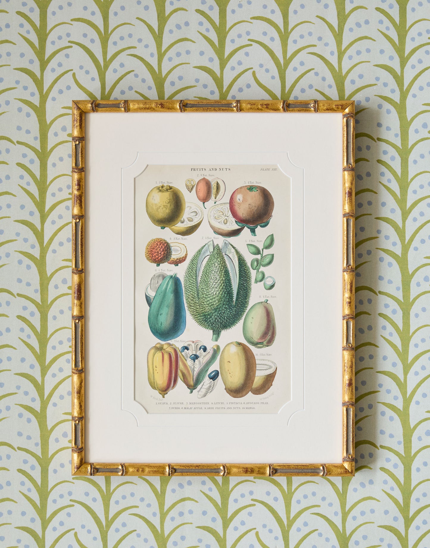 A Set of Four 19th Century Hand-Colour Copper Engravings of Fruitful Palms and Fruits and Nuts