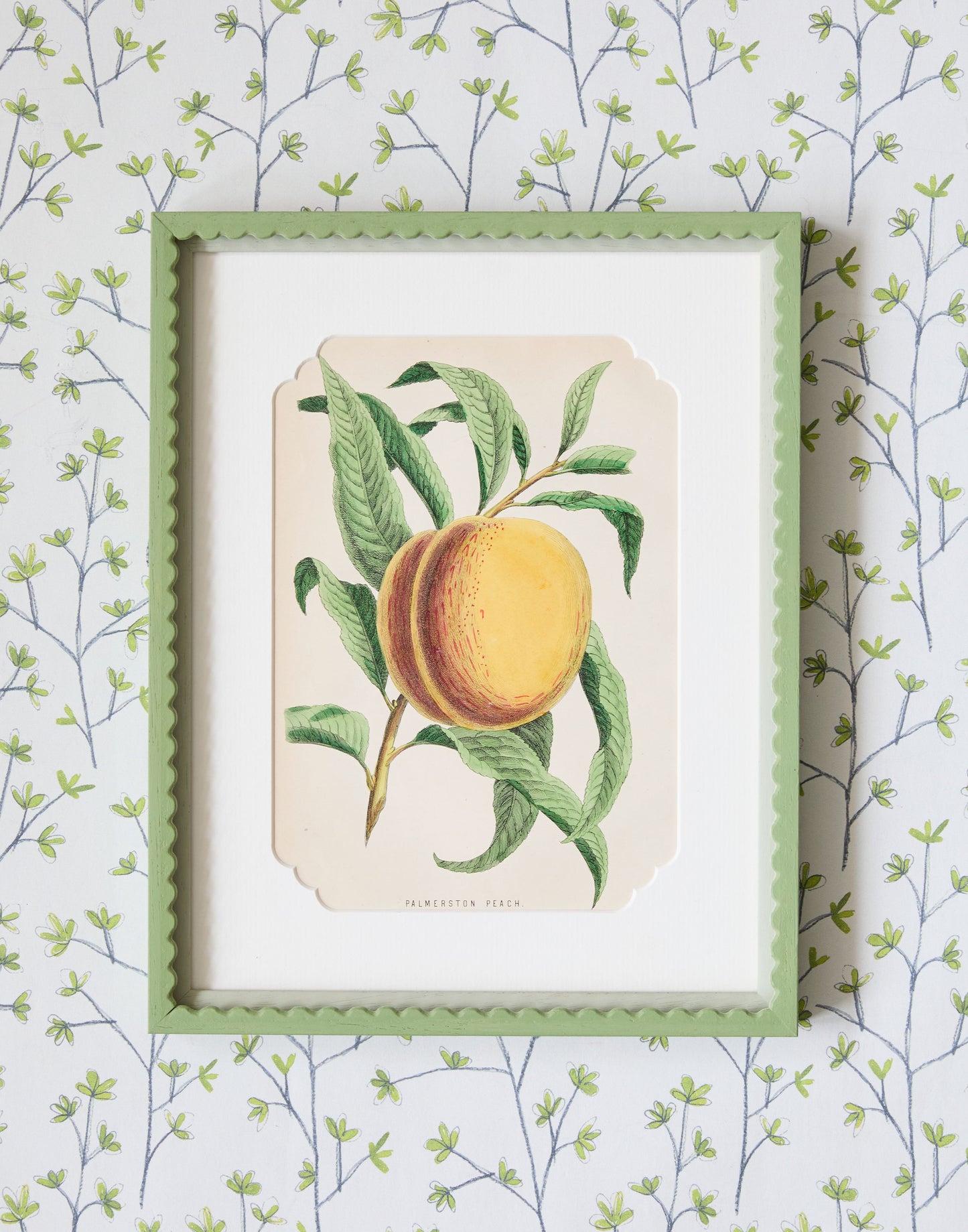 A Set of Six 19th Century Hand-Coloured Chromolographs of Fruit