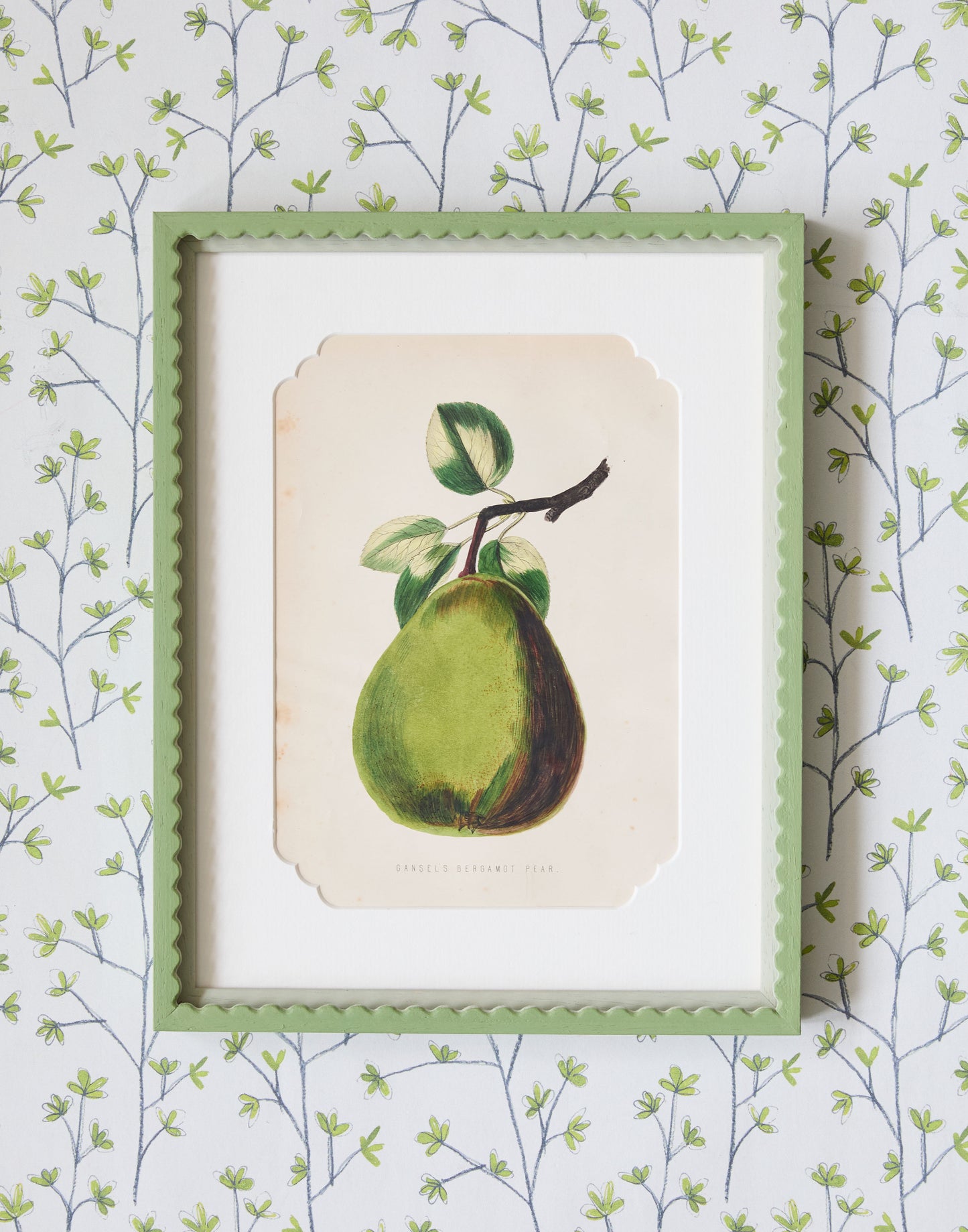 A Set of Six 19th Century Hand-Coloured Chromolographs of Fruit