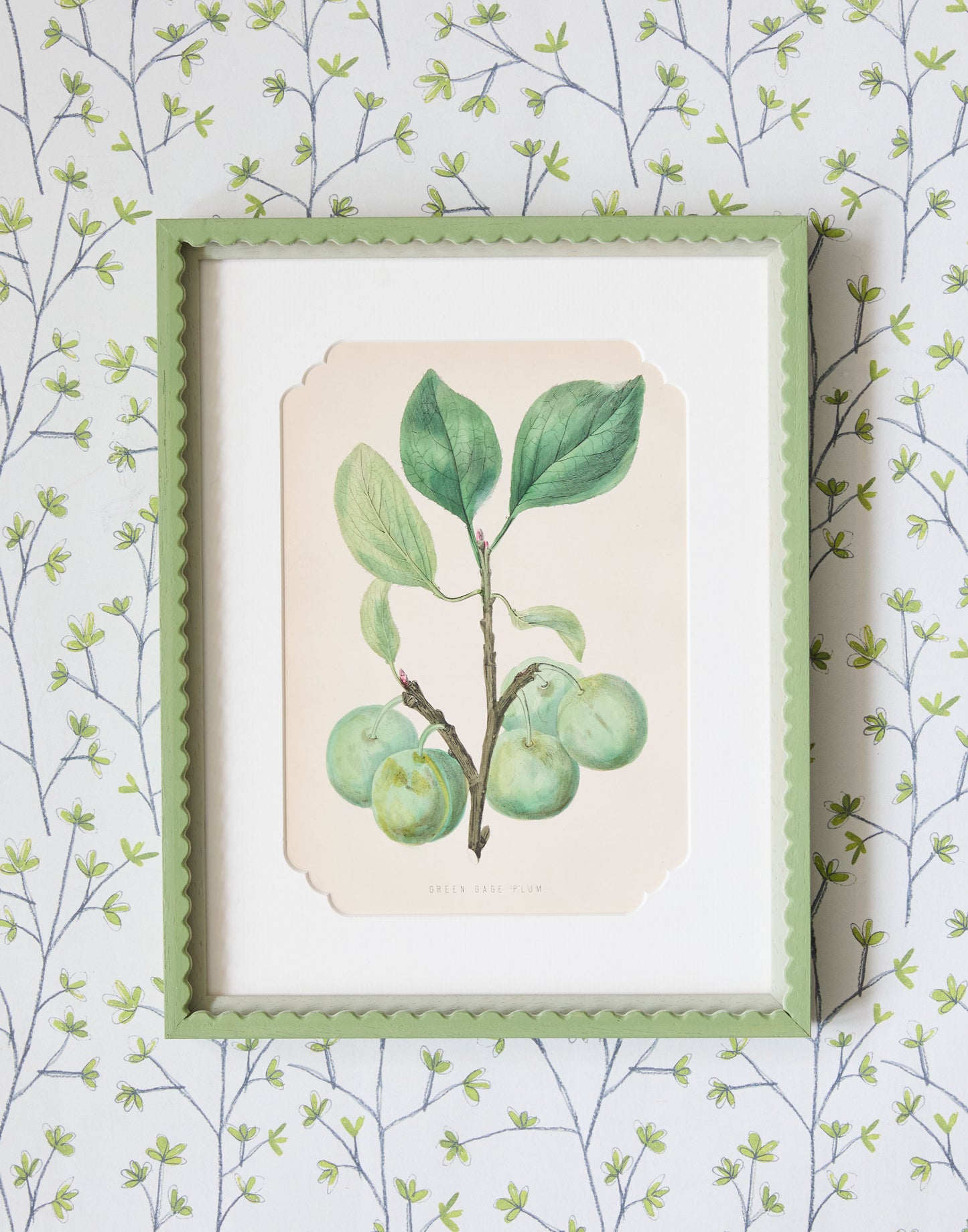 A Set of Six 19th Century Hand-Coloured Chromolographs of Fruit