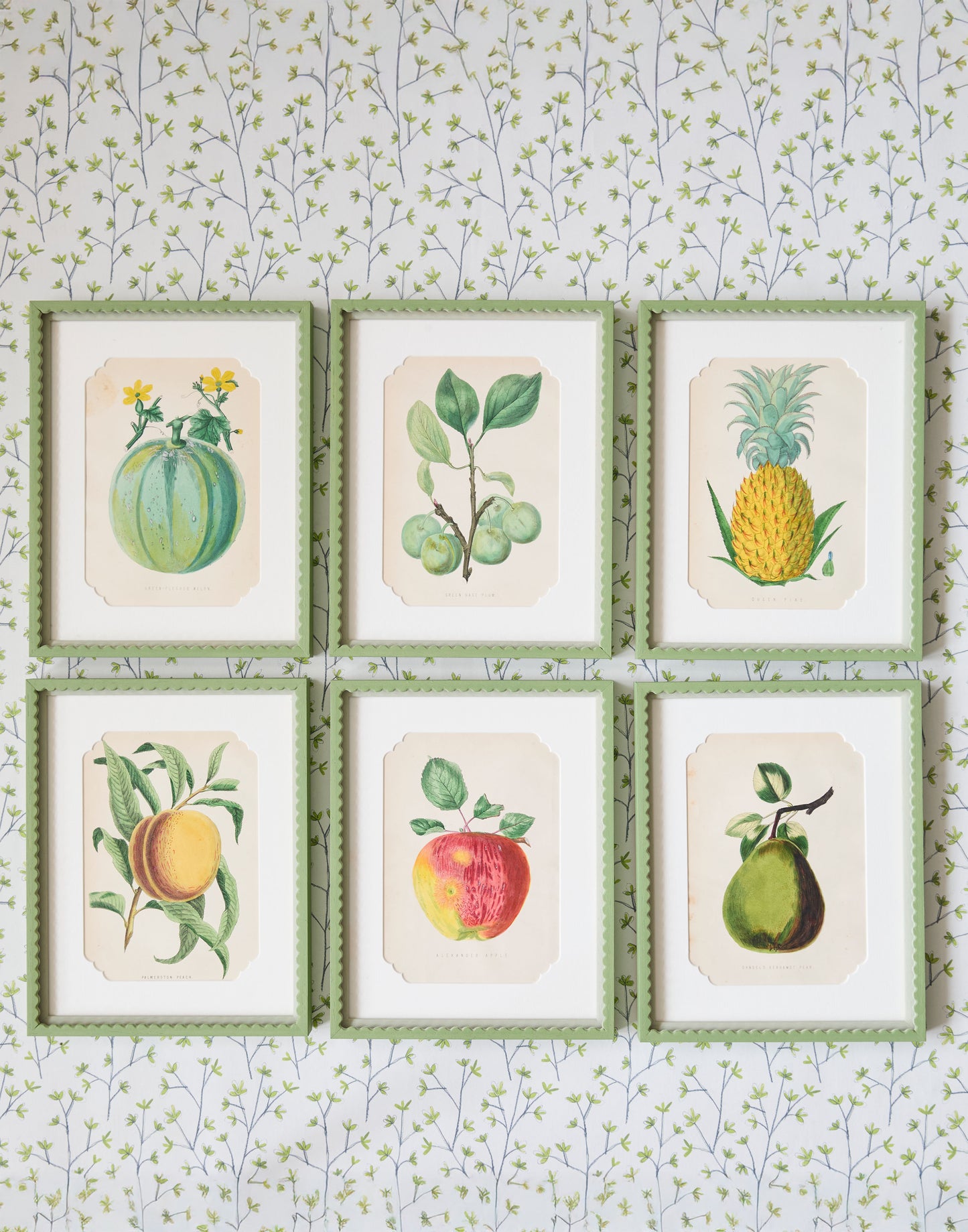 A Set of Six 19th Century Hand-Coloured Chromolographs of Fruit