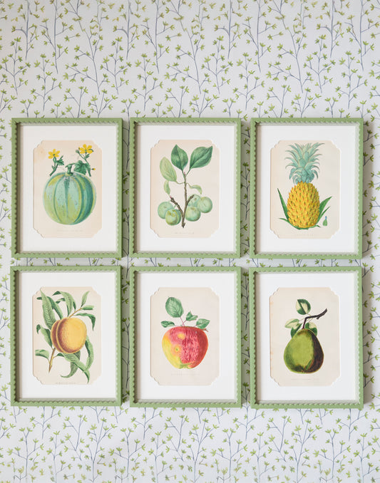 A Set of Six 19th Century Hand-Coloured Chromolographs of Fruit