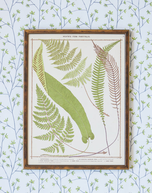 A Set of Three Chromolithograph Fern Prints from Francis George Heath's Fern Portfolio circa 1885