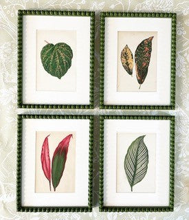 Set of Twelve Botanical Leaf Prints Circa 1860