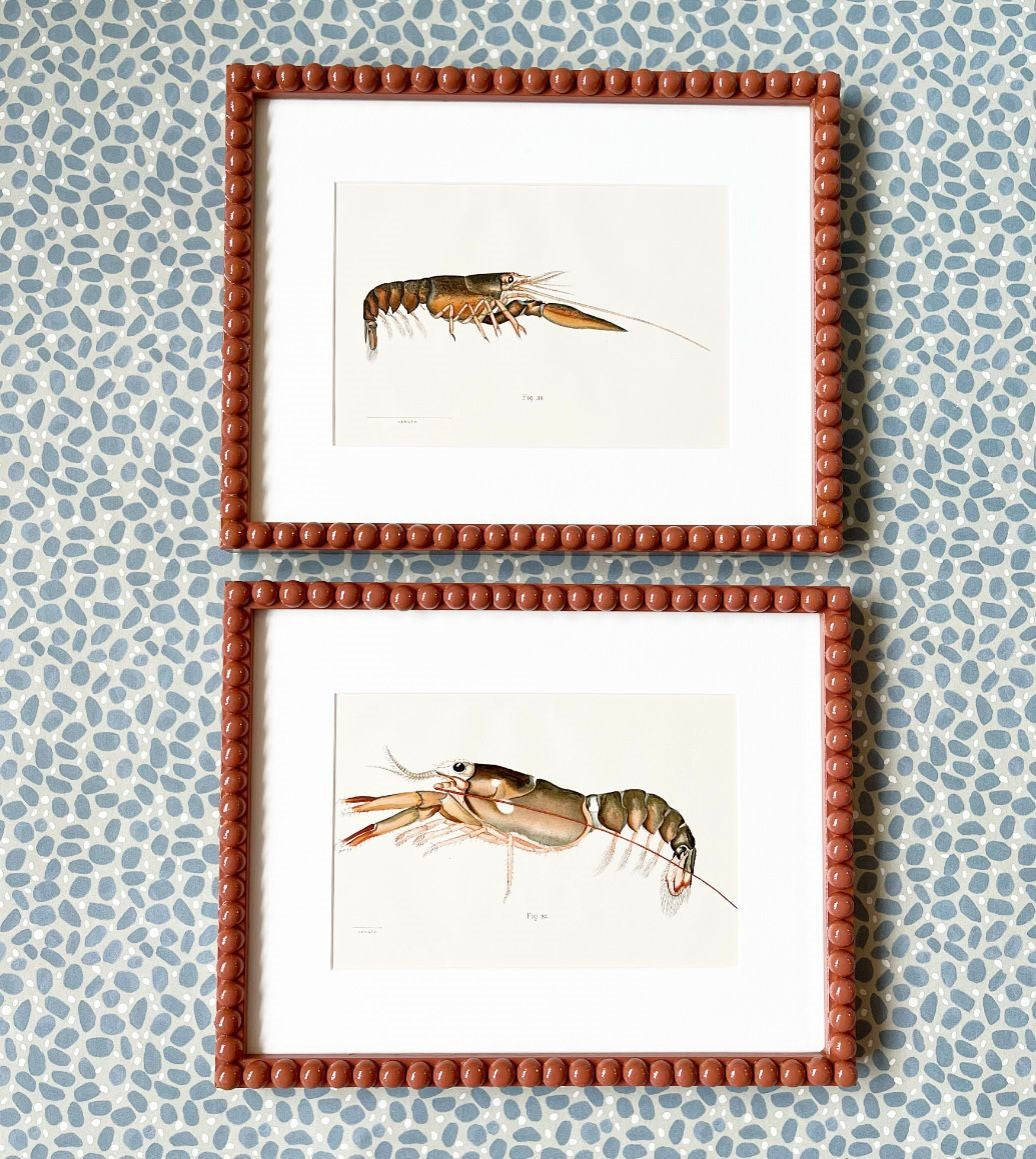 A Set of Four Chromolithograph Prints from The American Lobster: A Study of its Habits and Development by Francis Hobart Herrick (1858-1940)
