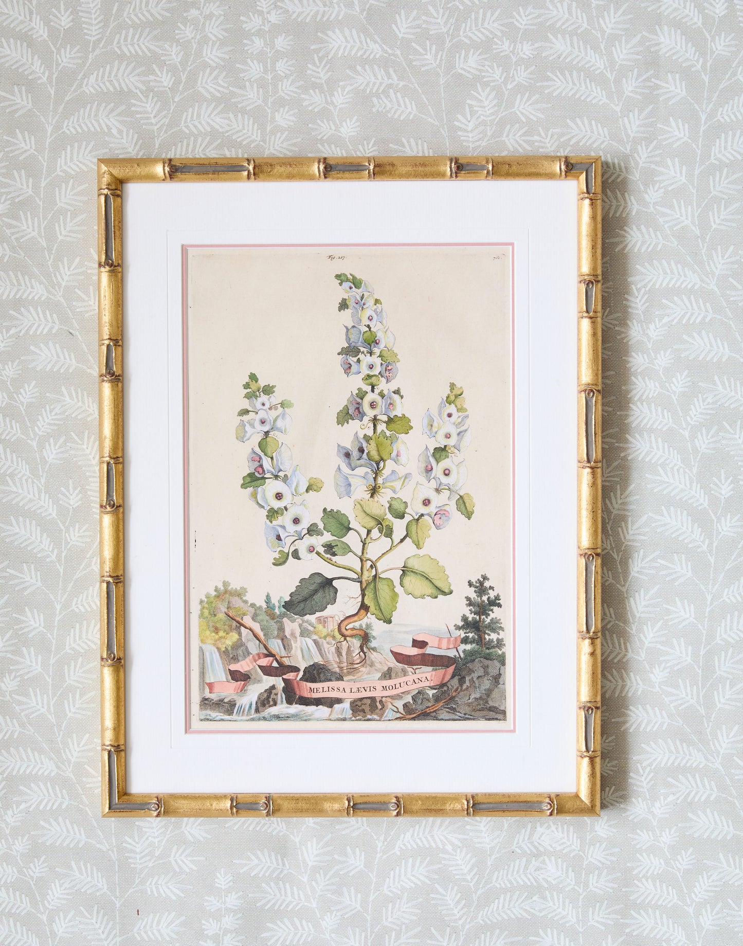 A Set of Eight Antique Hand-coloured Folio Copper Plate Prints by Abraham Munting (1626 - 1683)