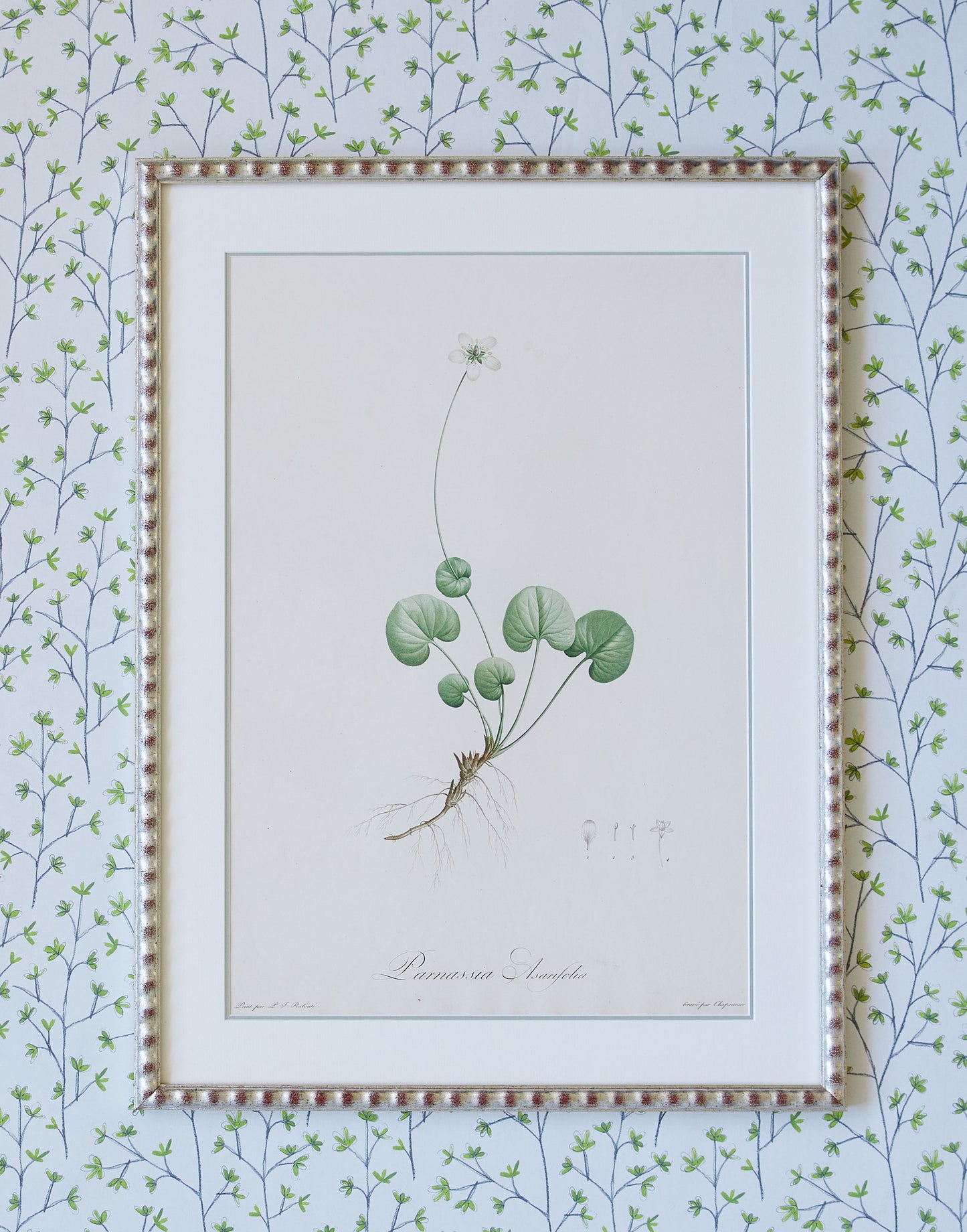 A Set of Six Large 19th Century Hand-Coloured Botanical Engravings after Pierre Joseph Redoute