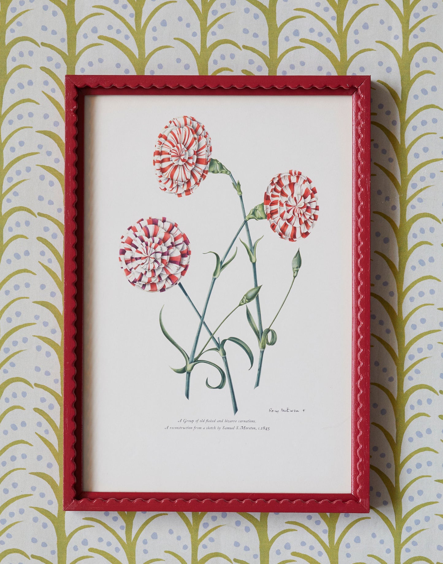 A Set of Eight 1950s Botanical Prints of Carnations and Pinks by Rory McEwen (1932-1982)