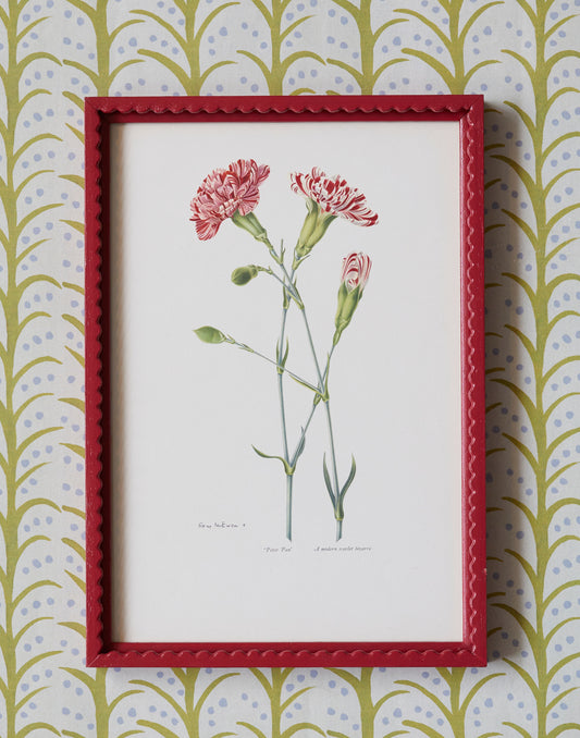 A Set of Eight 1950s Botanical Prints of Carnations and Pinks by Rory McEwen (1932-1982)