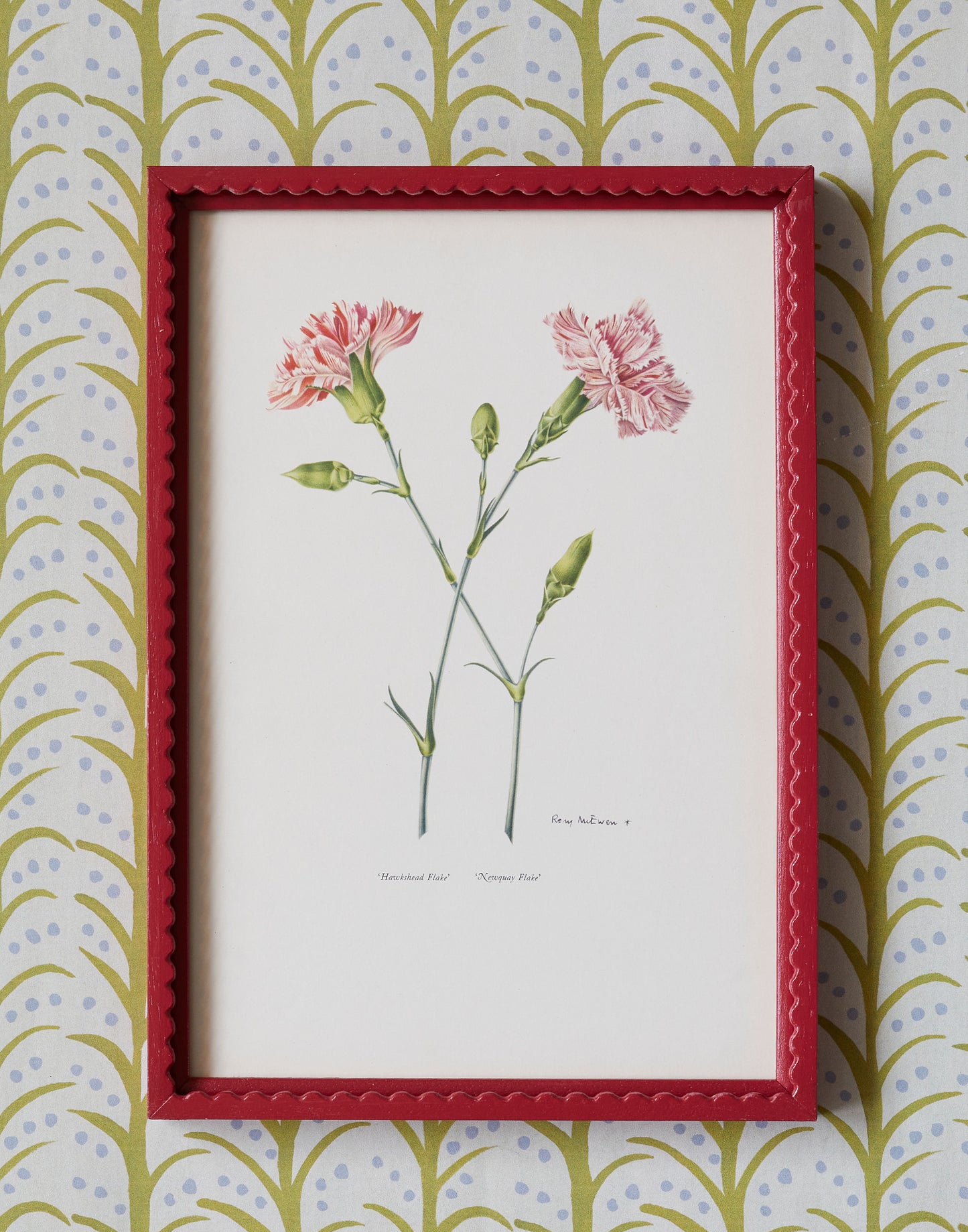 A Set of Eight 1950s Botanical Prints of Carnations and Pinks by Rory McEwen (1932-1982)