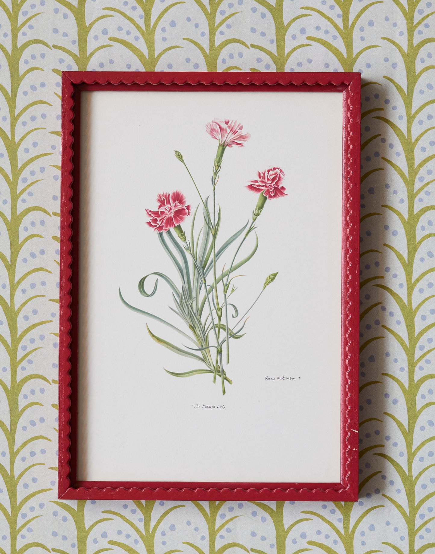 A Set of Eight 1950s Botanical Prints of Carnations and Pinks by Rory McEwen (1932-1982)