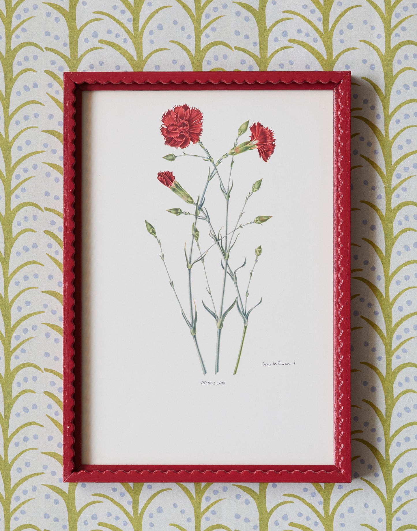 A Set of Eight 1950s Botanical Prints of Carnations and Pinks by Rory McEwen (1932-1982)